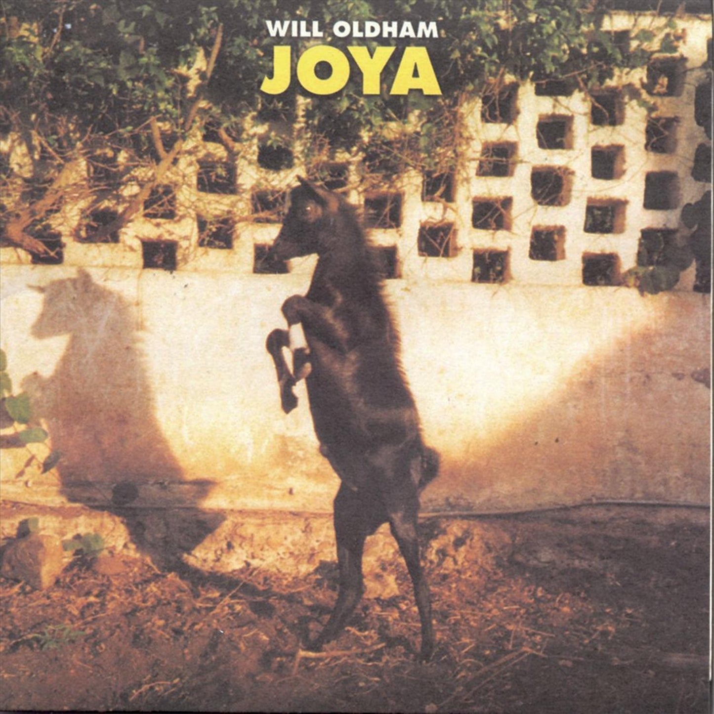 Will Oldham - Joya - Lp