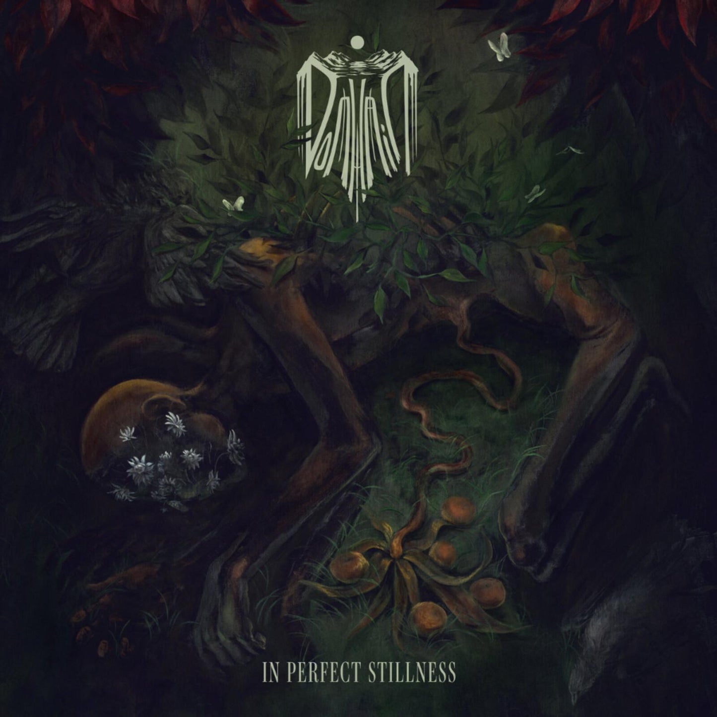 Domhain - In Perfect Stillness - Cd