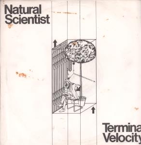 Natural Scientist - Terminal Velocity - 12 Inch