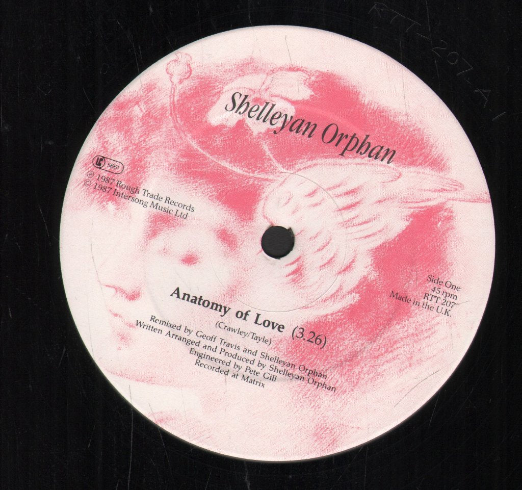 Shelleyan Orphan - Anatomy Of Love - 12 Inch
