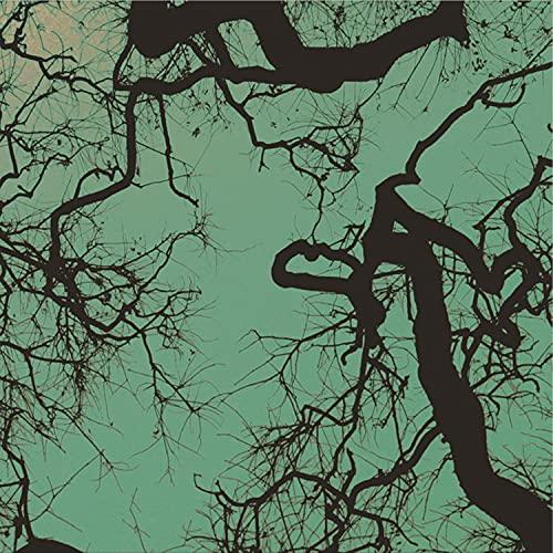 Follakzoid - Follakzoid - Lp