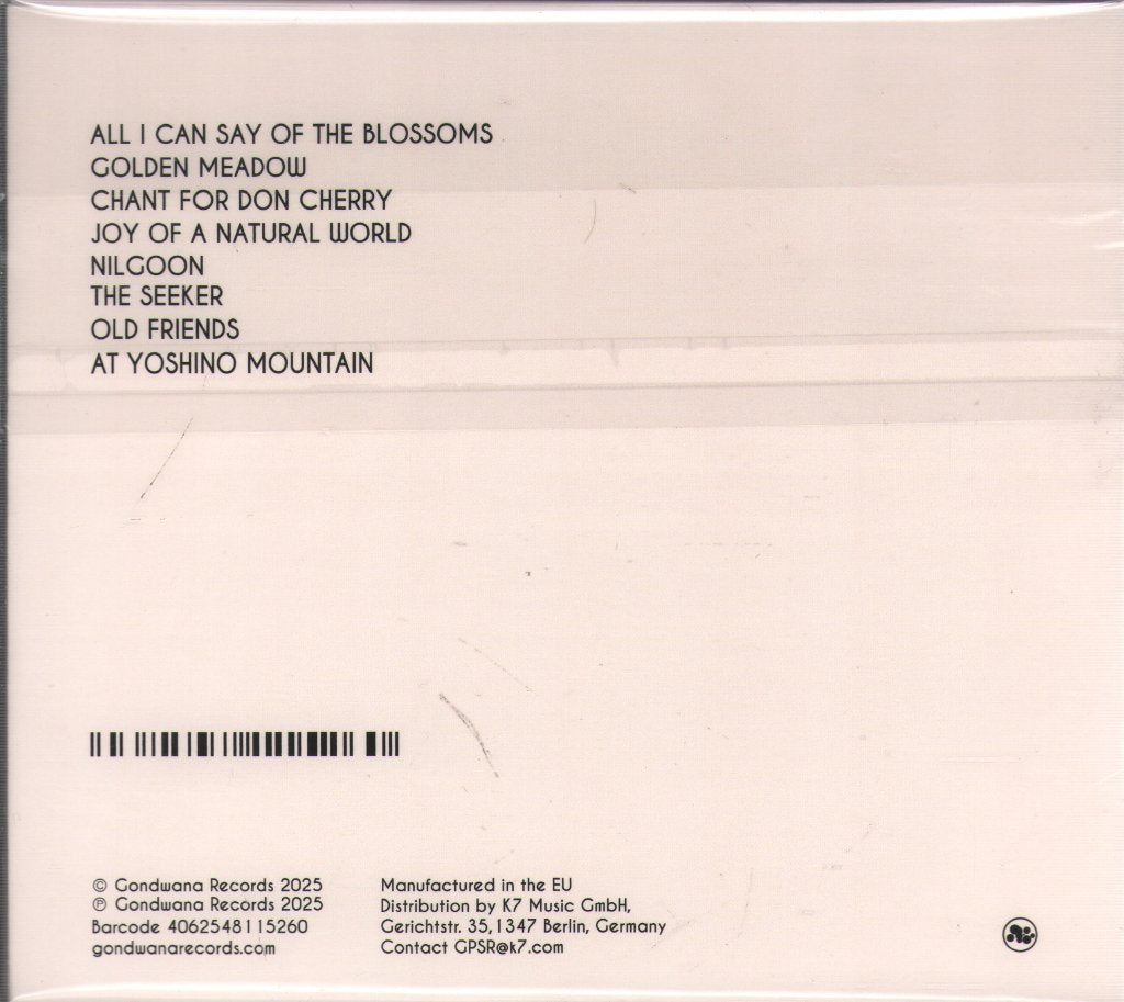 Ancient Infinity Orchestra - It's Always About Love - Cd