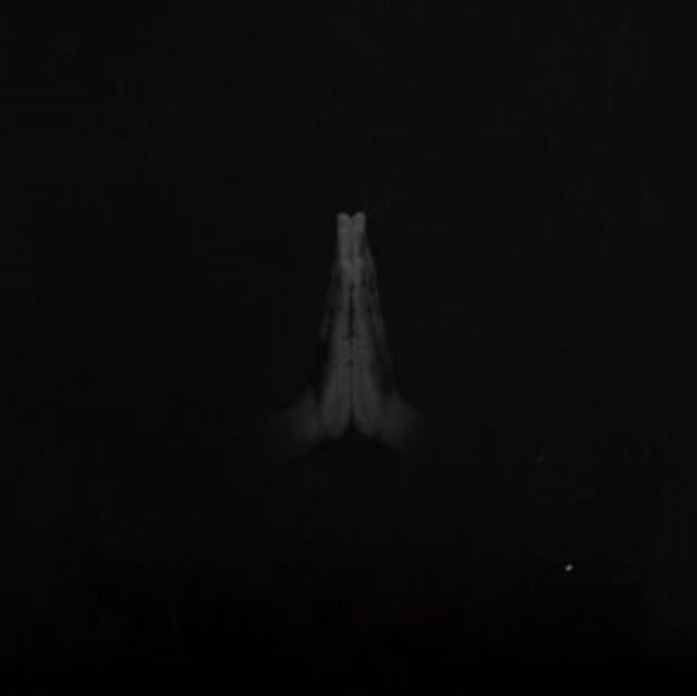 Sault - Untitled (Rise) - Double Lp