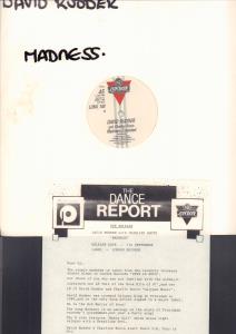 David Rudder And Charlies Roots - Madness Extended - 12 Inch