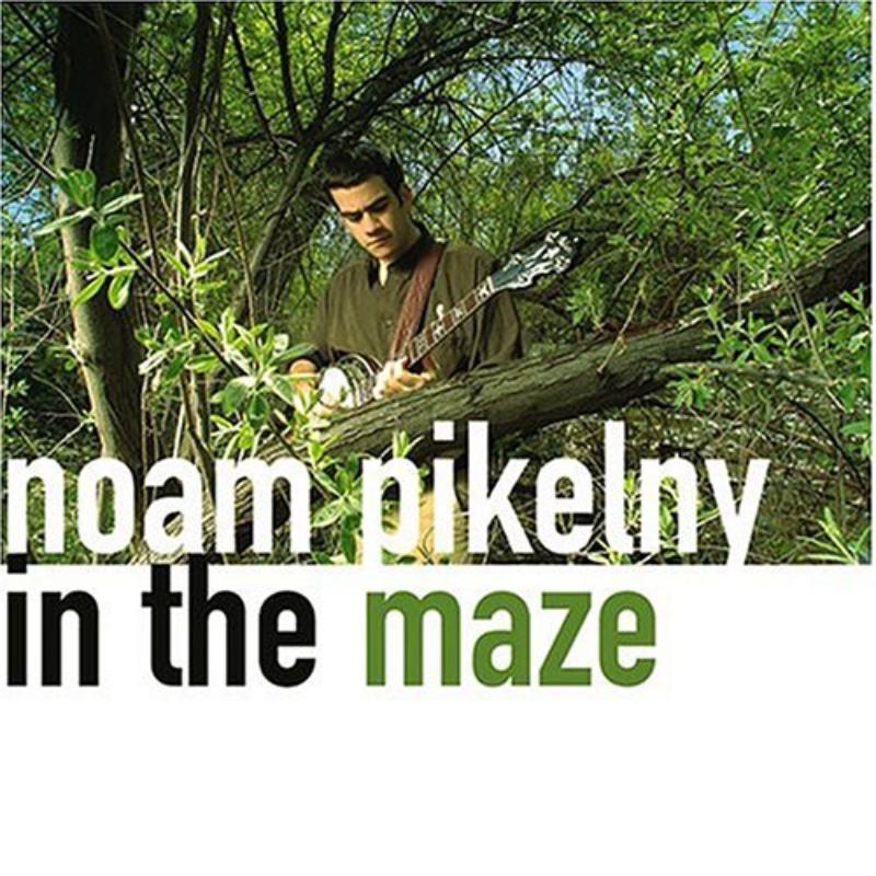 Noam Pikelny - In the Maze - Cd