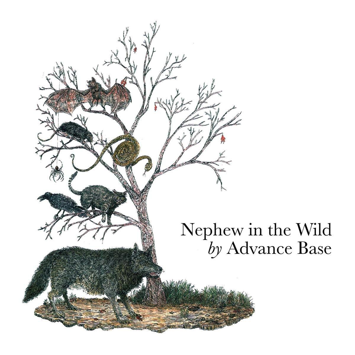 Advance Base - Nephew In the Wild - Cd
