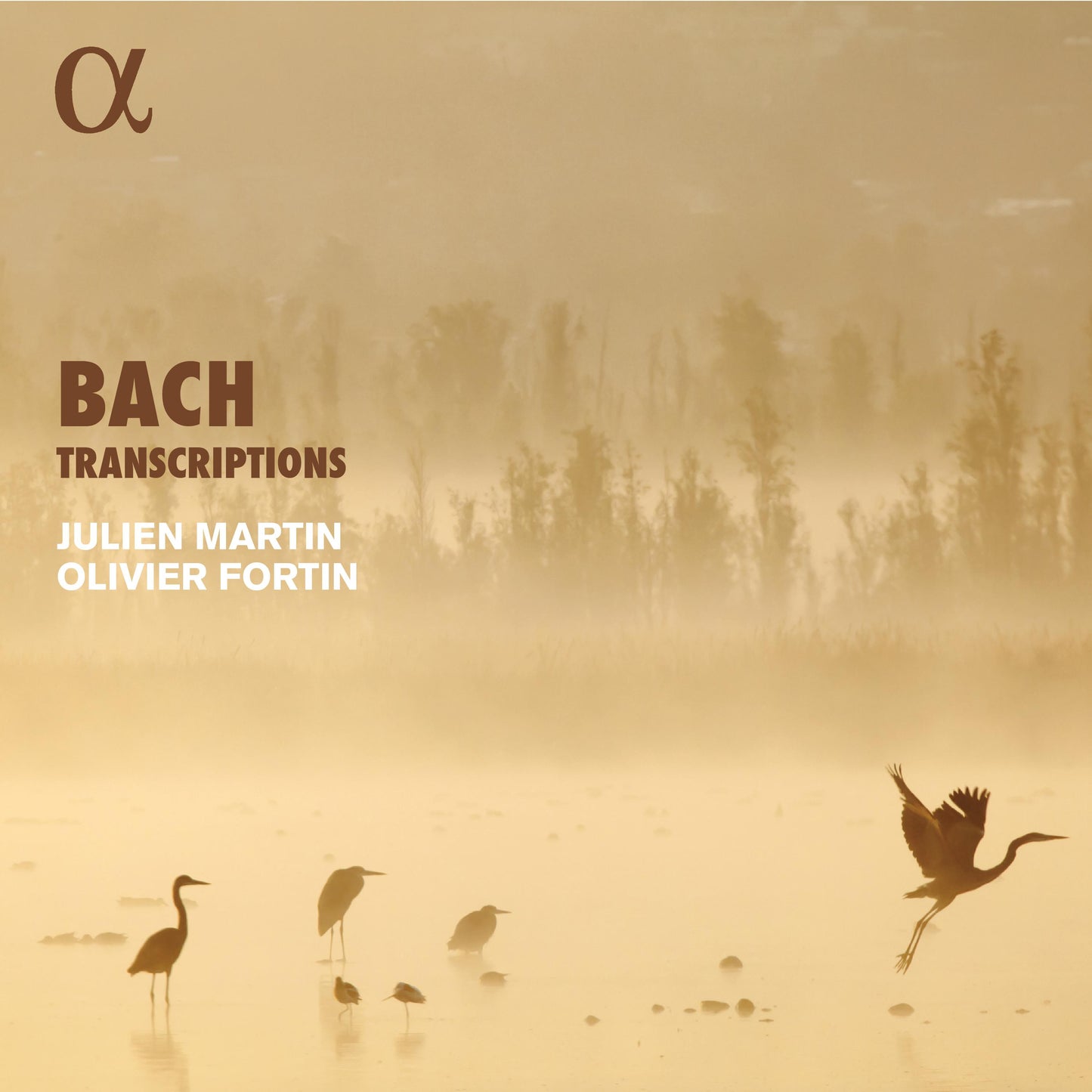 Bach - Bach Transcriptions - Cd