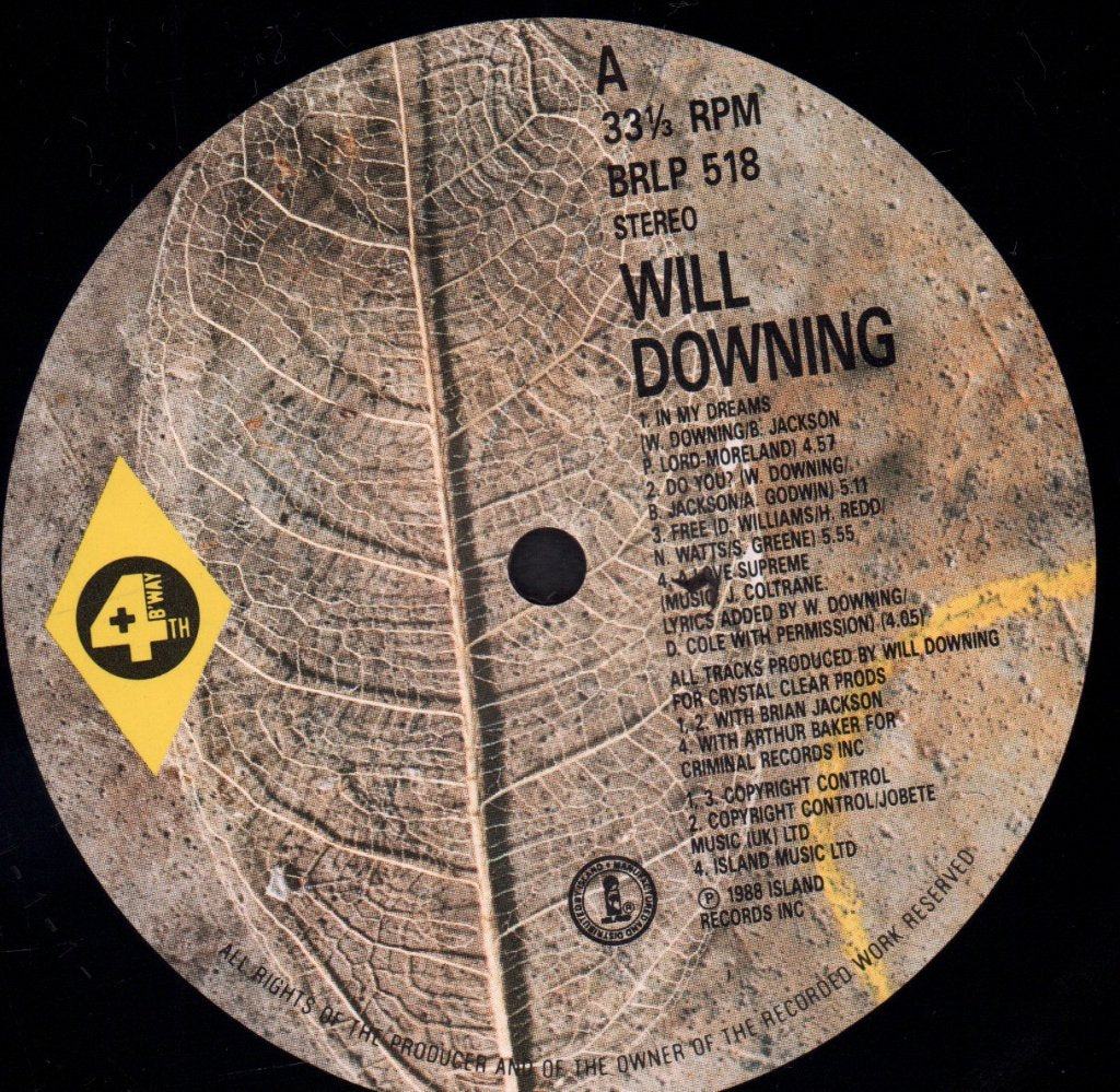 Will Downing - Will Downing - Lp