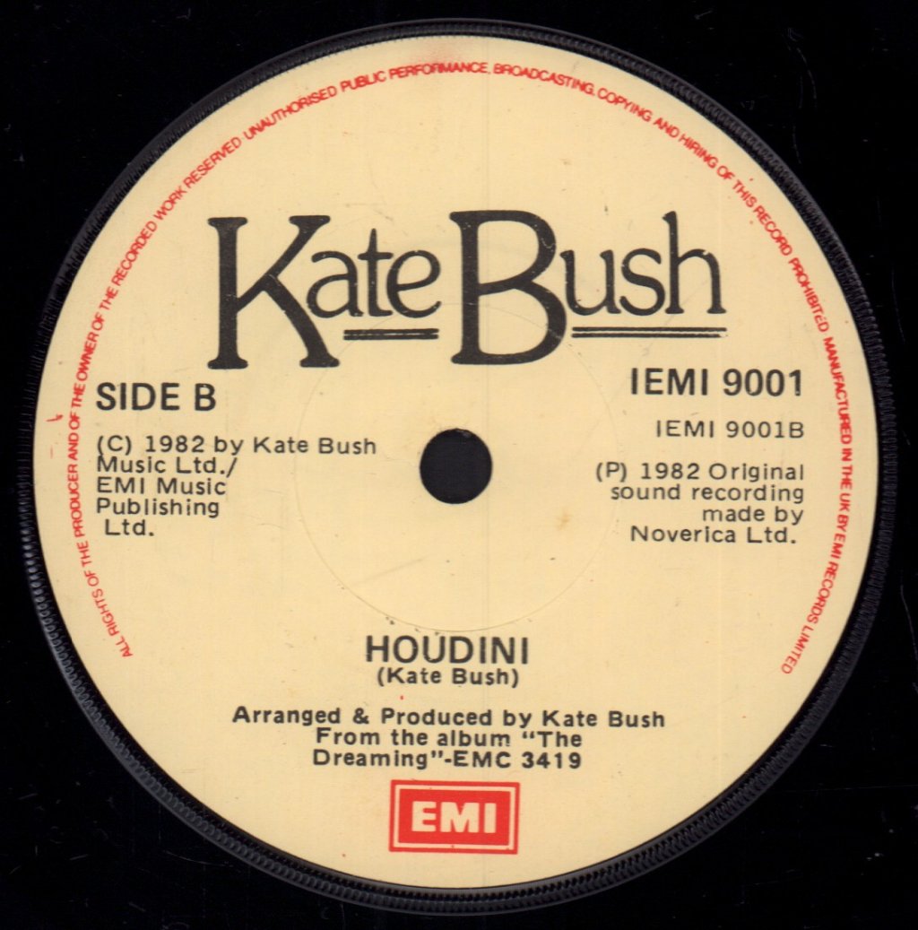 Kate Bush - Night Of The Swallow - 7 Inch