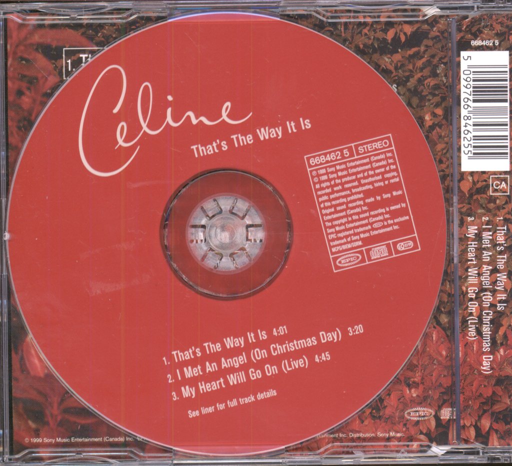 Céline Dion - That's The Way It Is - Cd