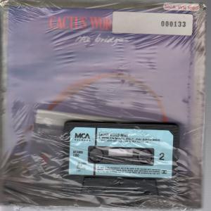 Cactus World News - Bridge - 7 Inch