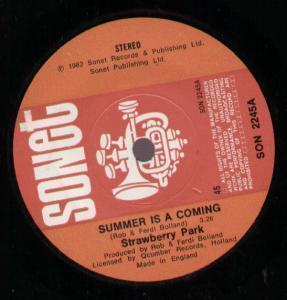 Strawberry Park - Summer Is Coming - 7 Inch