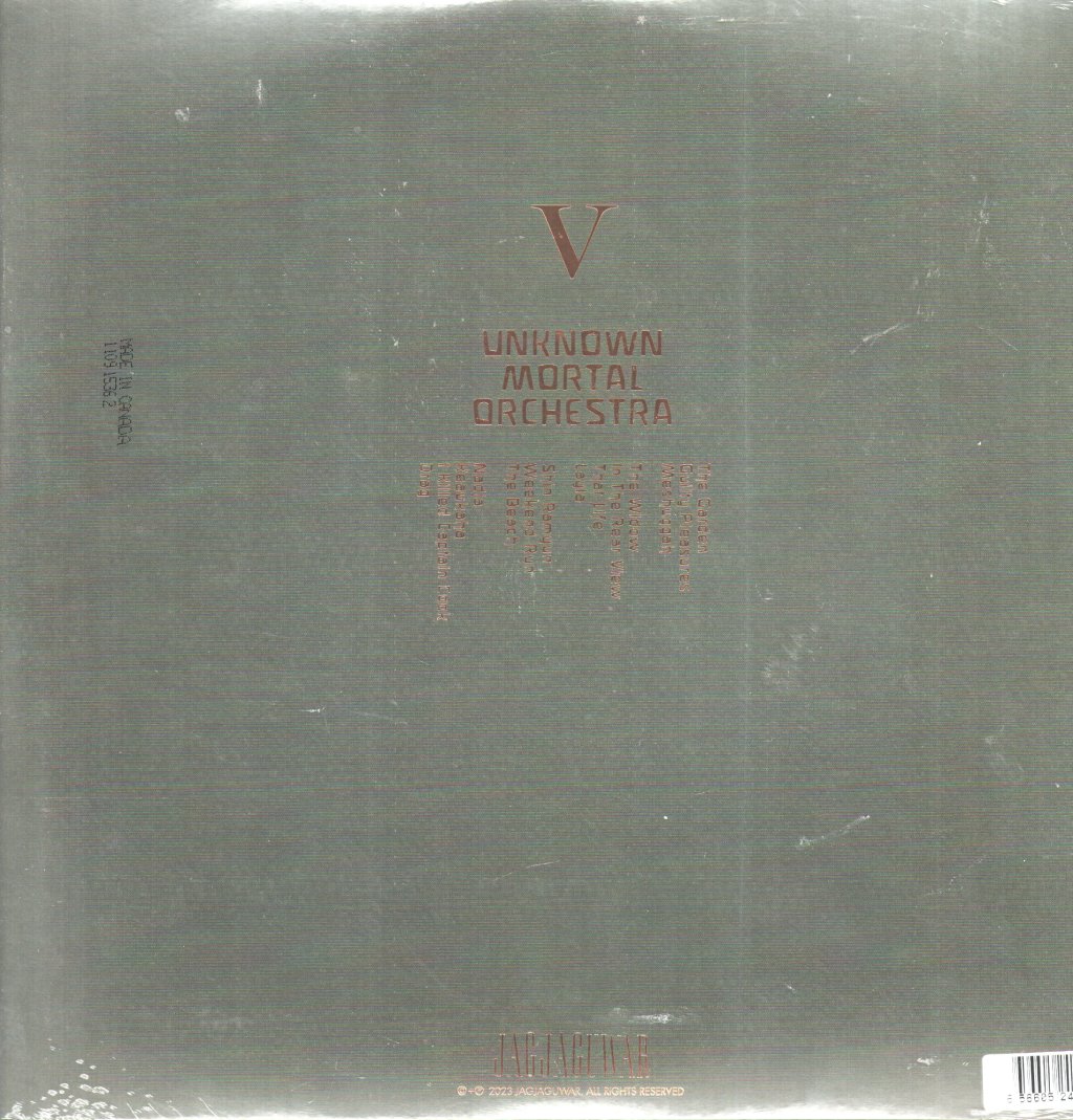 Unknown Mortal Orchestra - V - Double Lp
