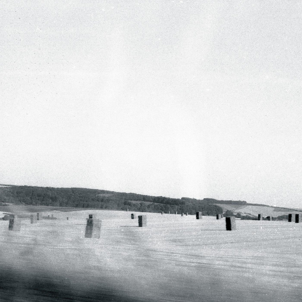 Drone - Feral - Cd