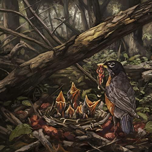 Acacia Strain - Step Into the Light - Cd