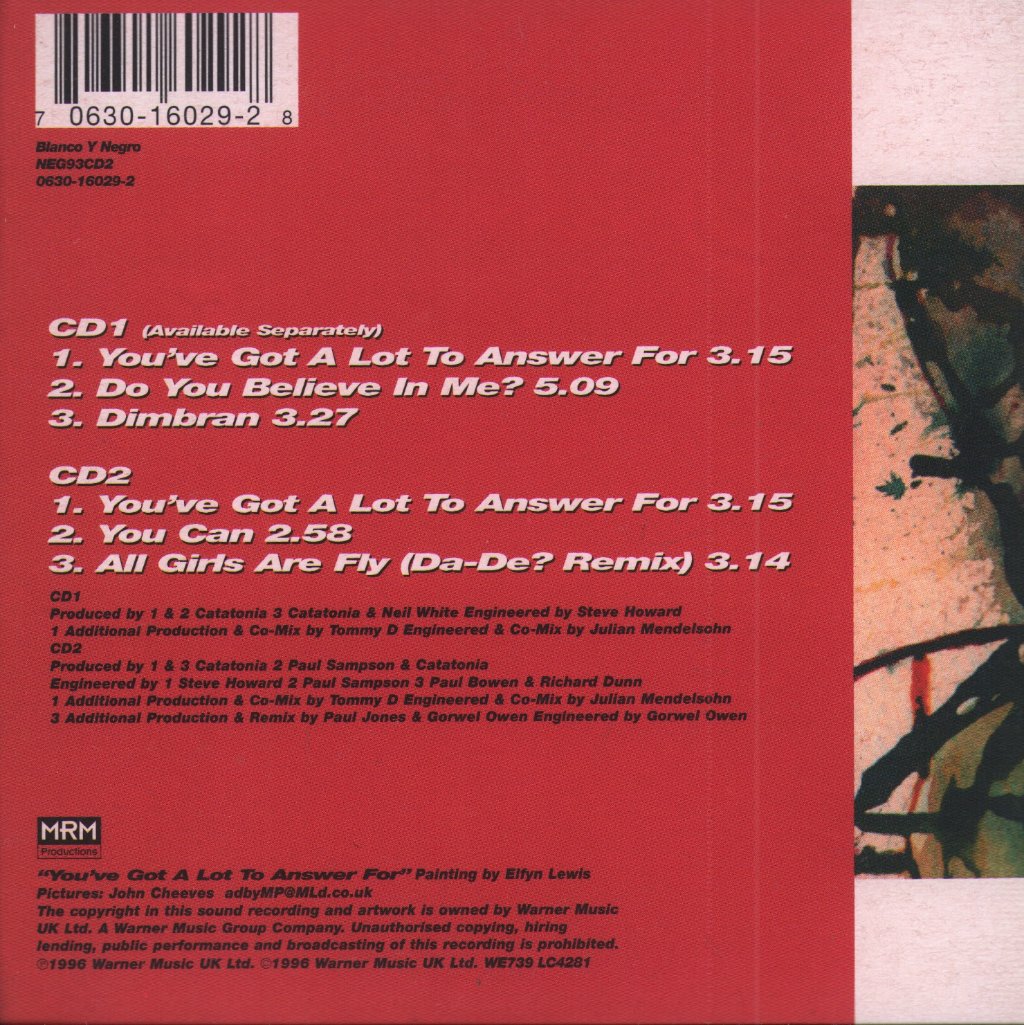 Catatonia - You've Got A Lot To Answer For - Cd