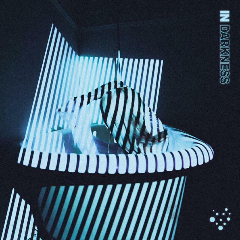 Varials - In Darkness - Lp