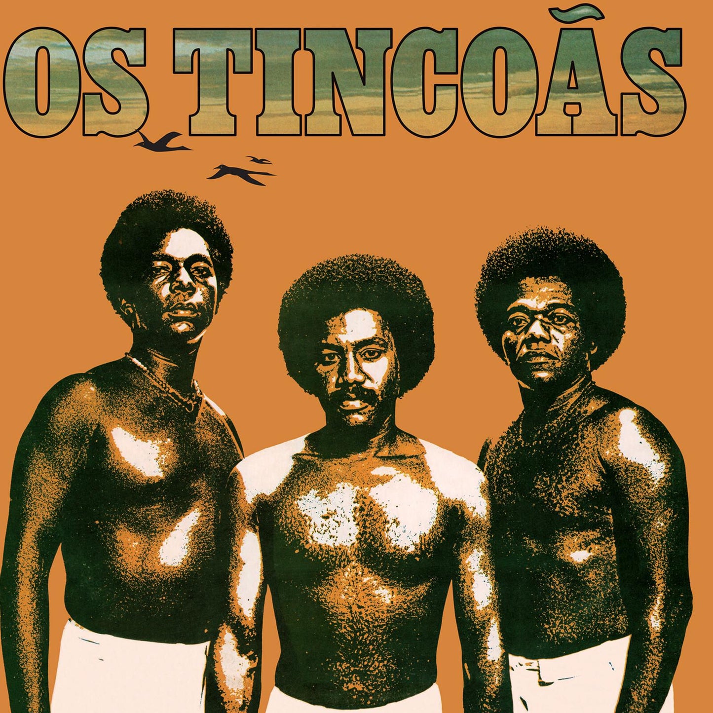 Os Tincoas - Os Tincoas - Lp