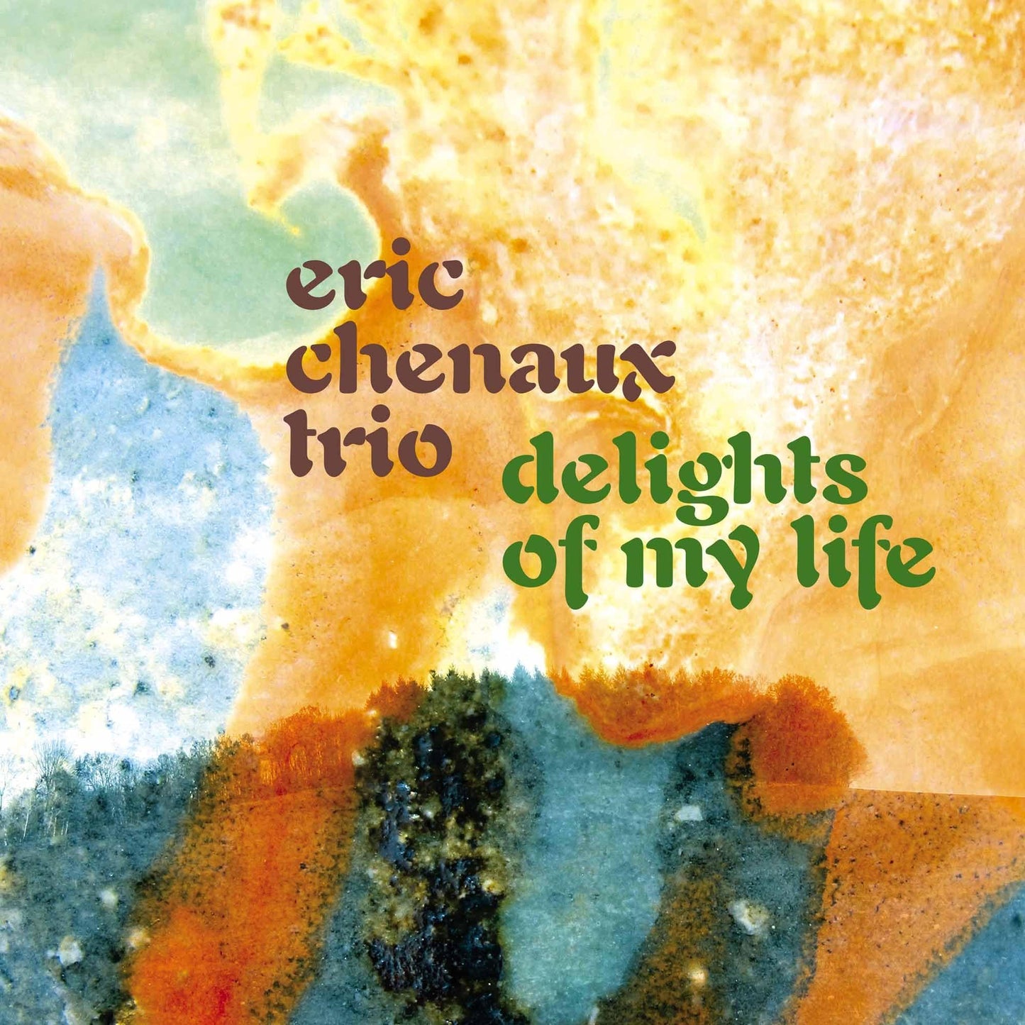 Eric Chenaux Trio - Delights of My Life - Cd