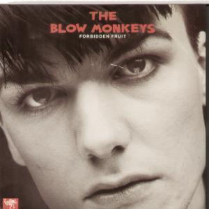Blow Monkeys - Forbidden Fruit - 7 Inch