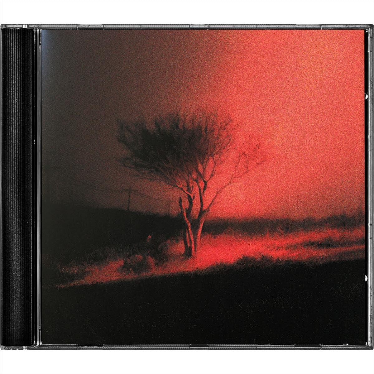 Joji - Piss In the Wind - Cd