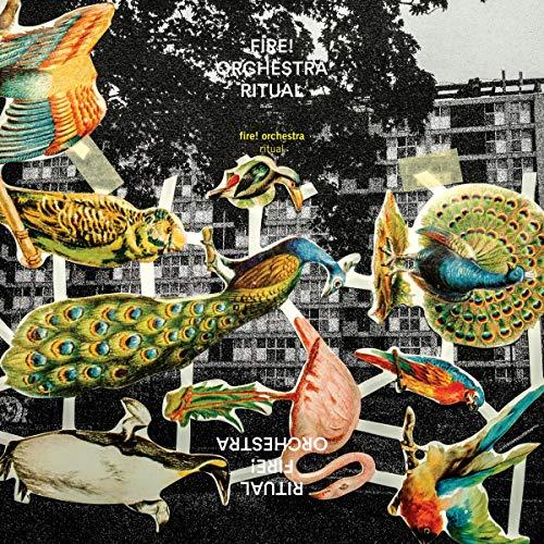 Fire! Orchestra - Ritual - Cd