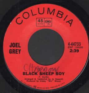Joel Grey - Black Sheep Boy - 7 Inch