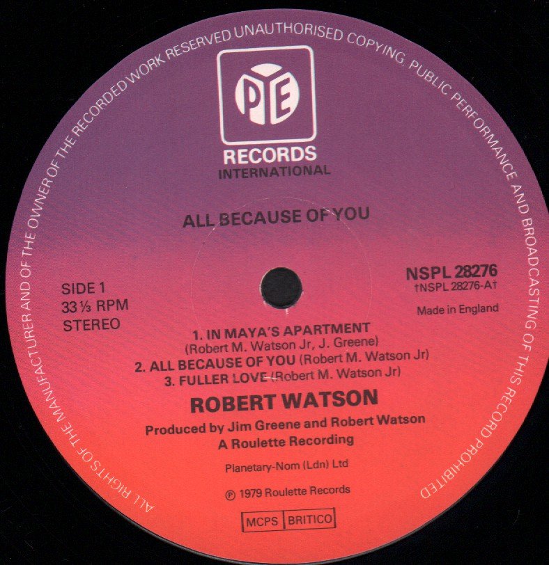 Robert Watson - All Because Of You - Lp