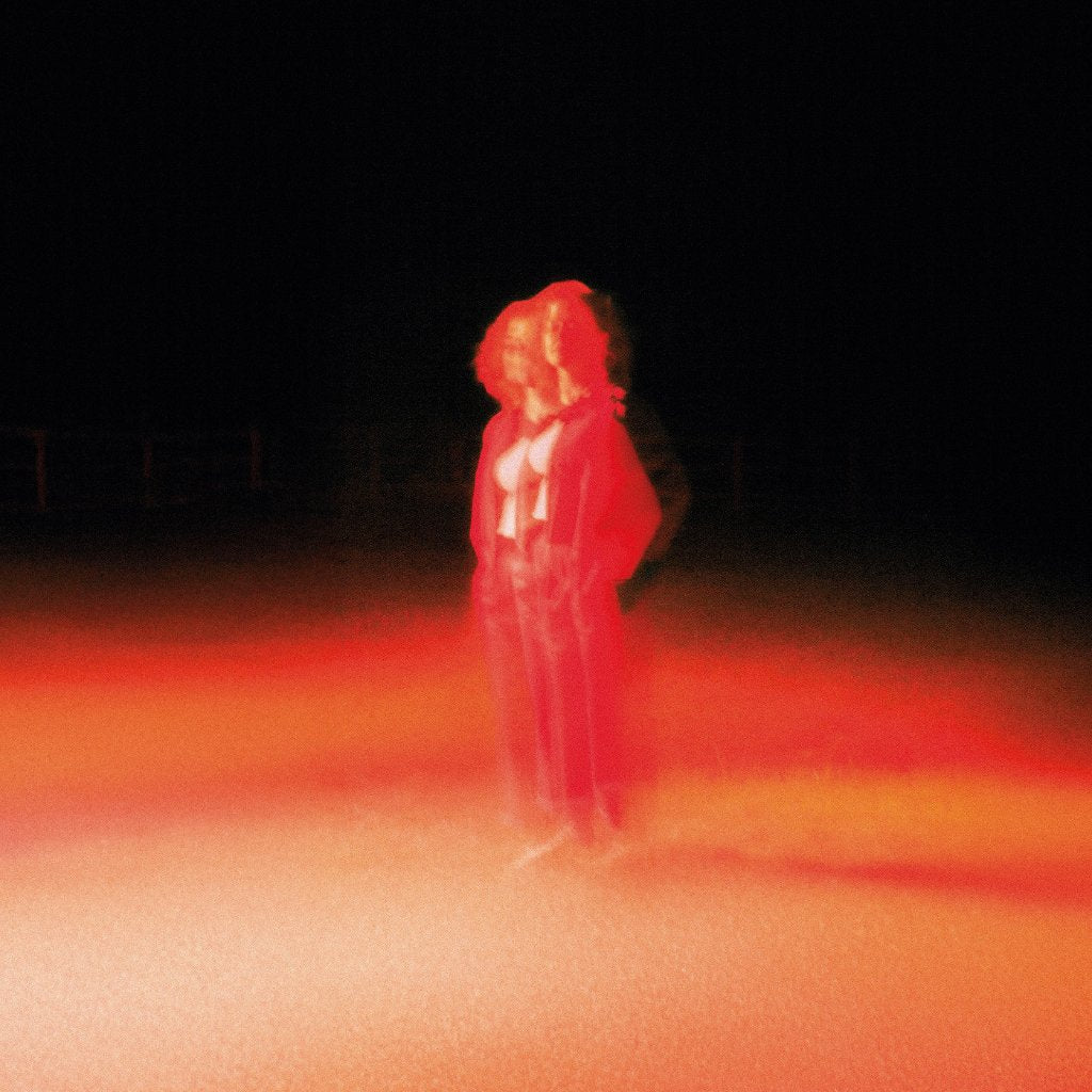 Katherine Priddy - These Frightening Machines - Lp