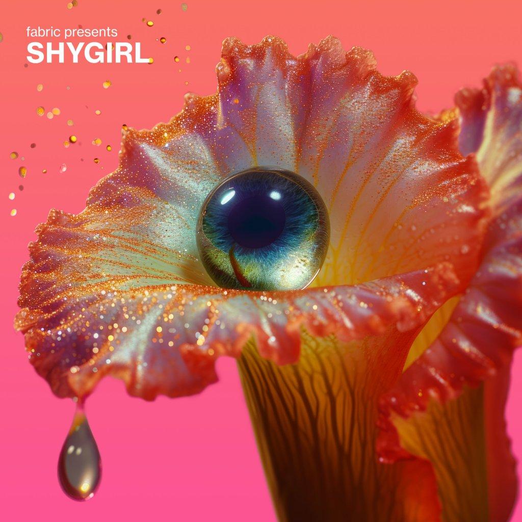Shygirl - Fabric Presents Shygirl - Double Lp