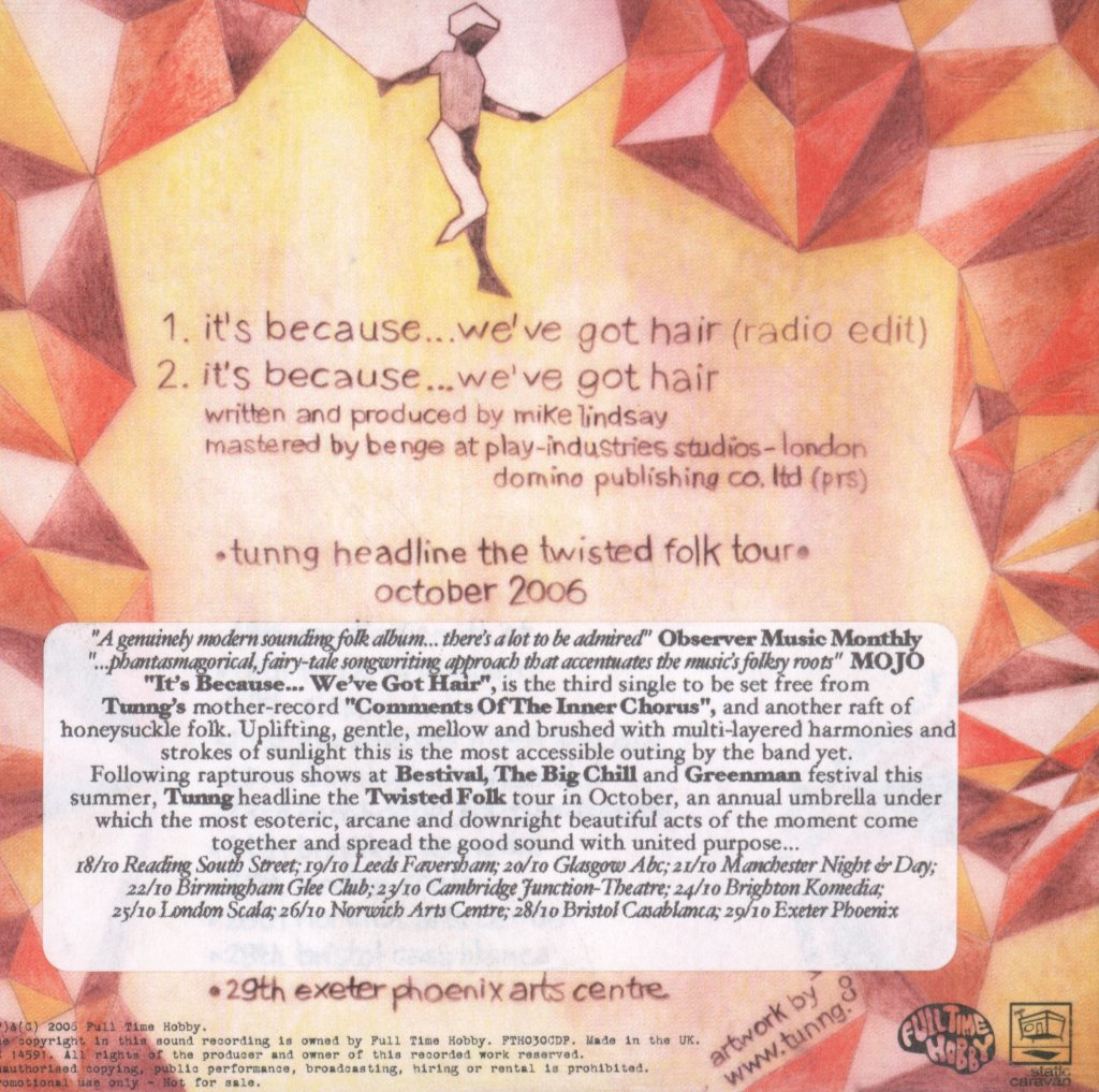 Tunng - It's Because... We've Got Hair - Cd