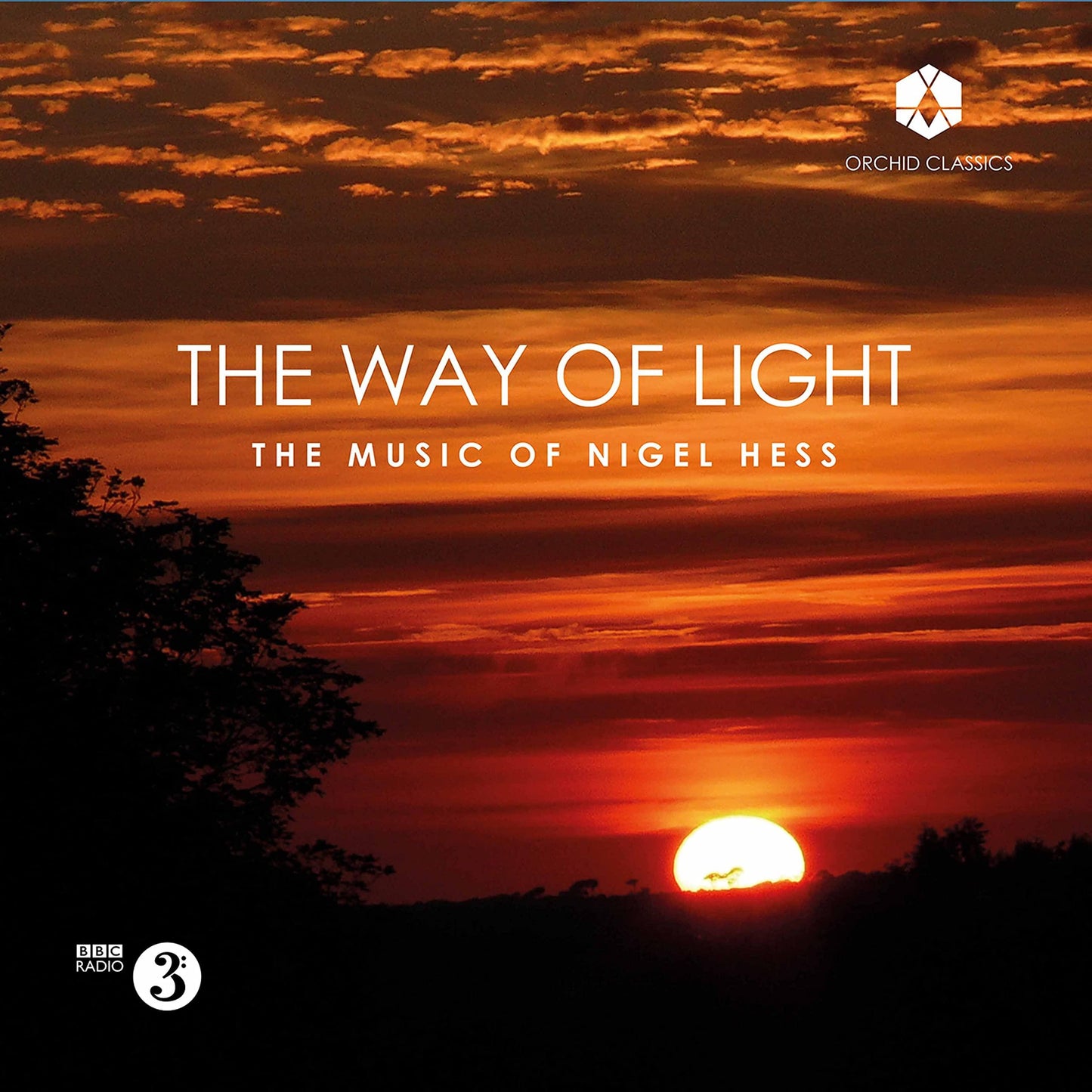 Various Artists - Nigel Hess: the Way of Light - Cd
