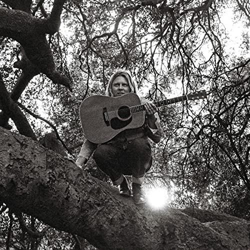 Ty Segall - Hello Hi - Cassette