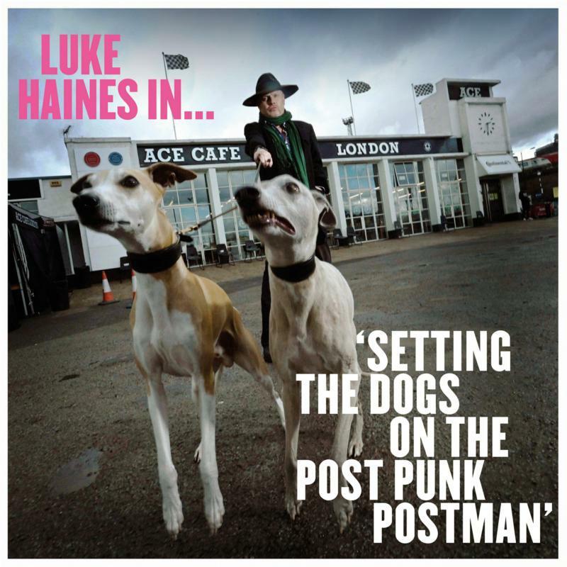 Luke Haines - Luke Haines In...setting the Dogs On the Post Punk Postman: Limited Edition Vinyl - Lp