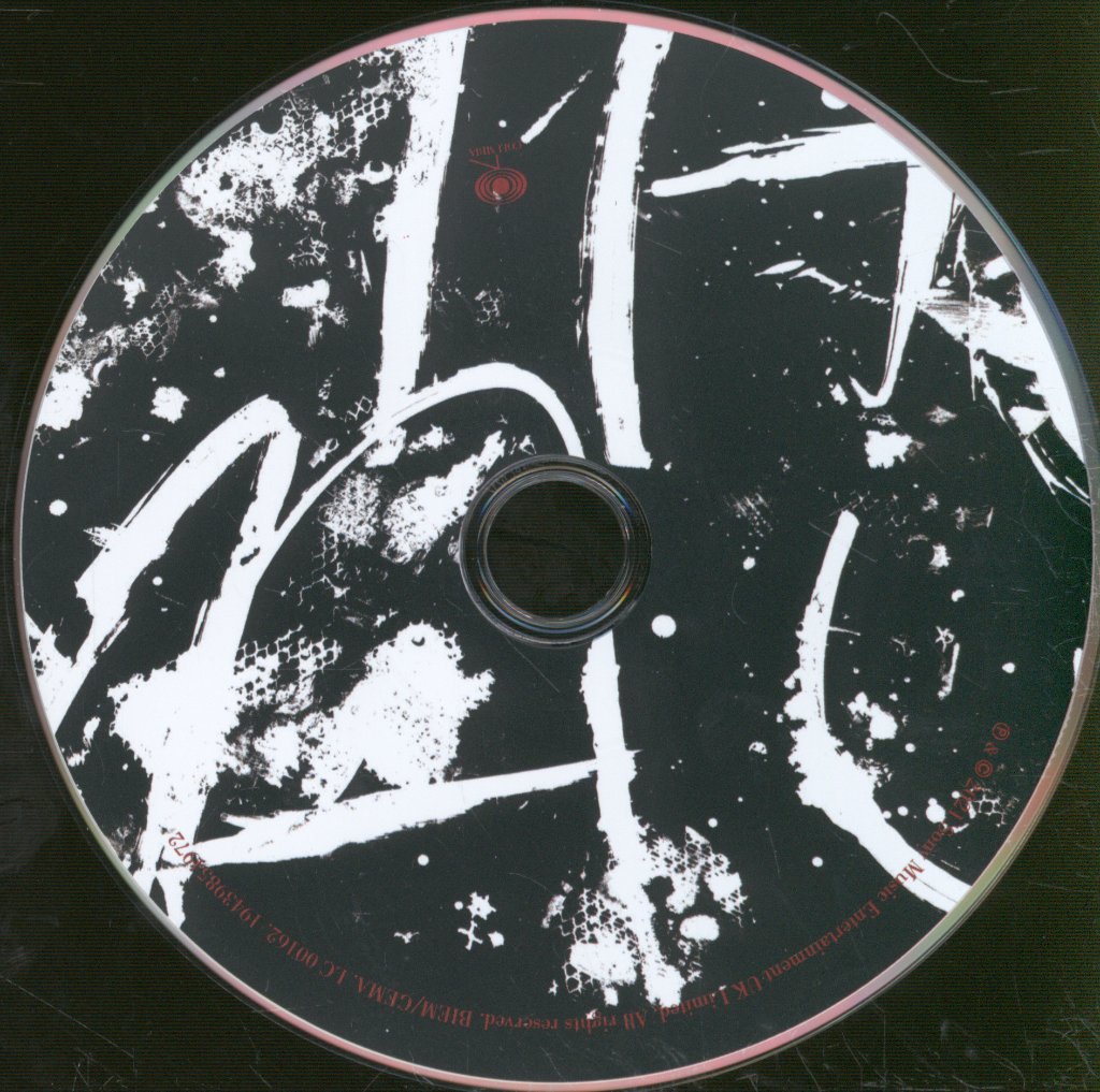 Rag'n'Bone Man - Life By Misadventure - Cd