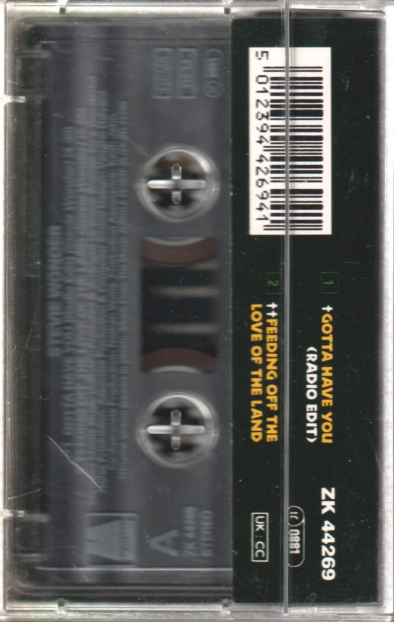 Stevie Wonder - Gotta Have You - Cassette