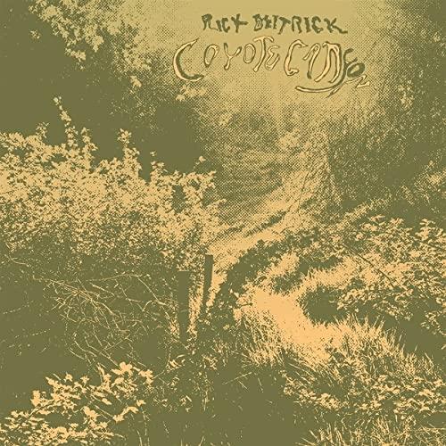 Rick Deitrick - Coyote Canyon - Lp