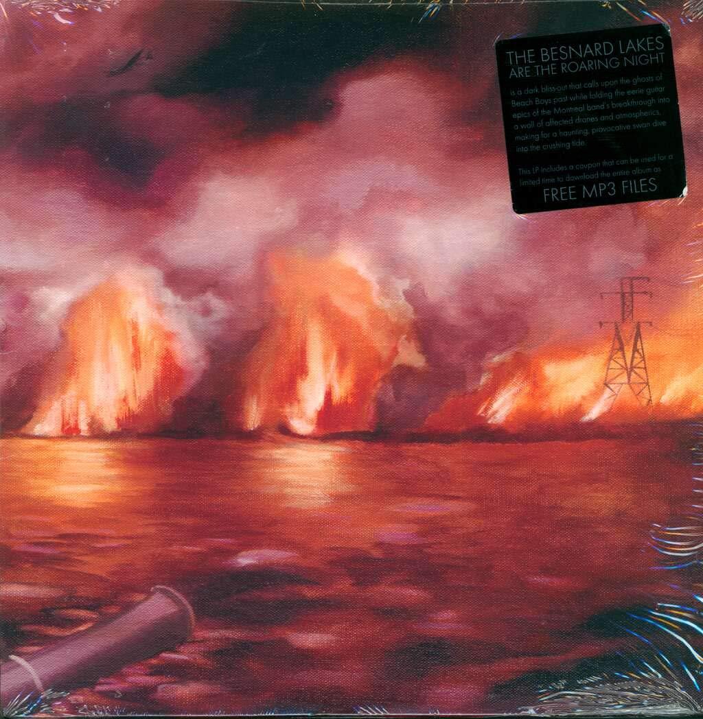 Besnard Lakes - Besnard Lakes Are the Roaring Night - Lp