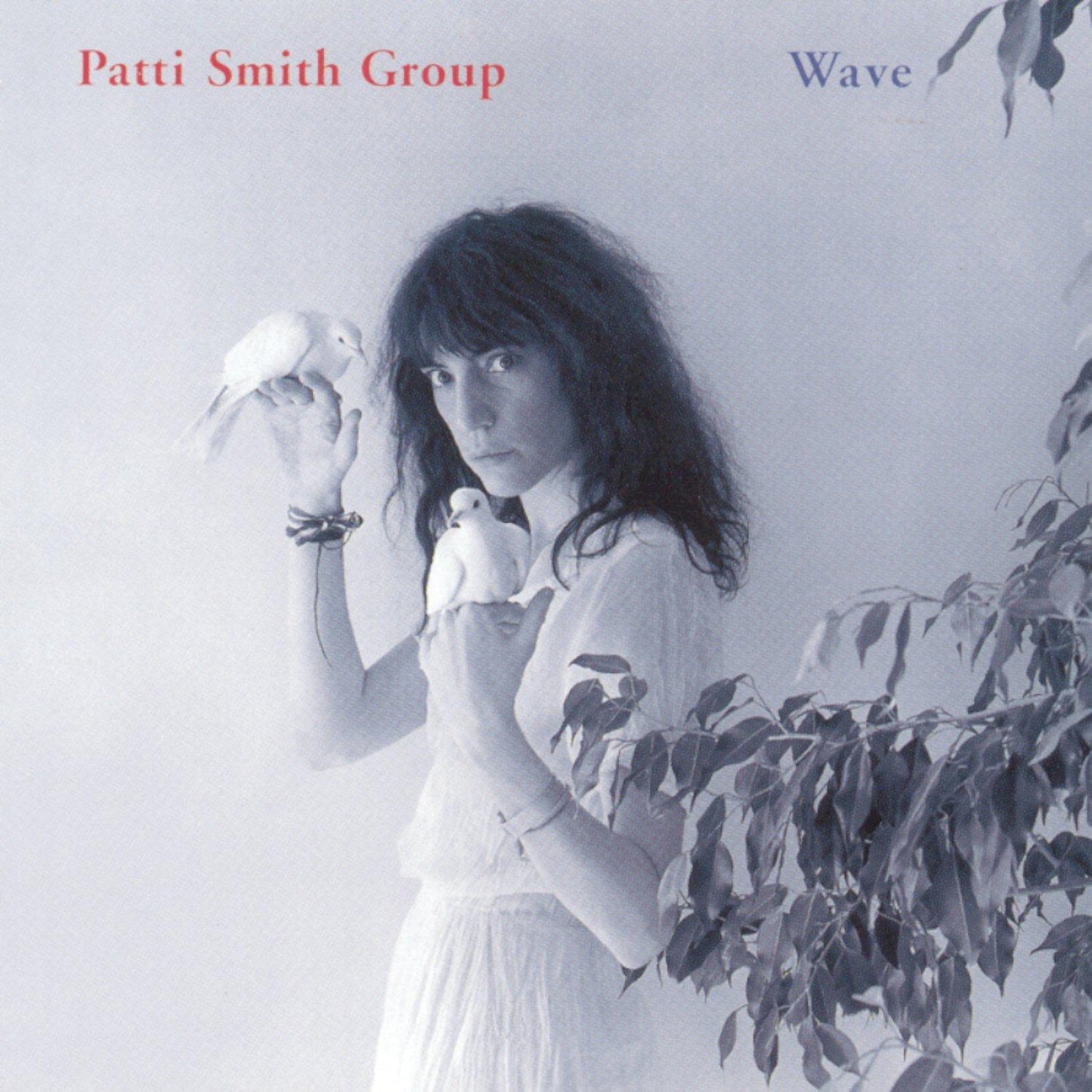 Patti Smith Group - Wave - Cd
