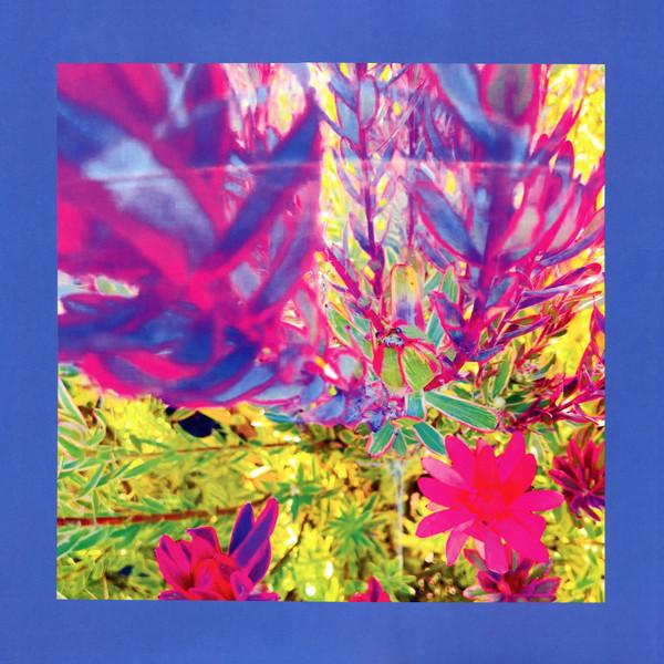 Reds Pinks and Purples - Past Is A Garden I Never Fed - Lp