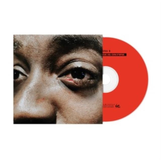 Guvna B - Village Is On Fire - Cd