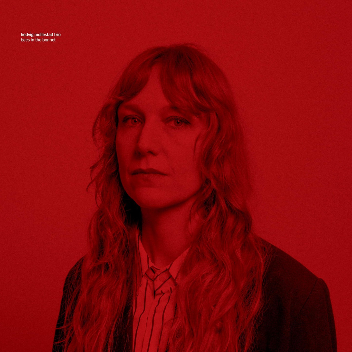 Hedvig Mollestad Trio - Bees In the Bonnet - Cd