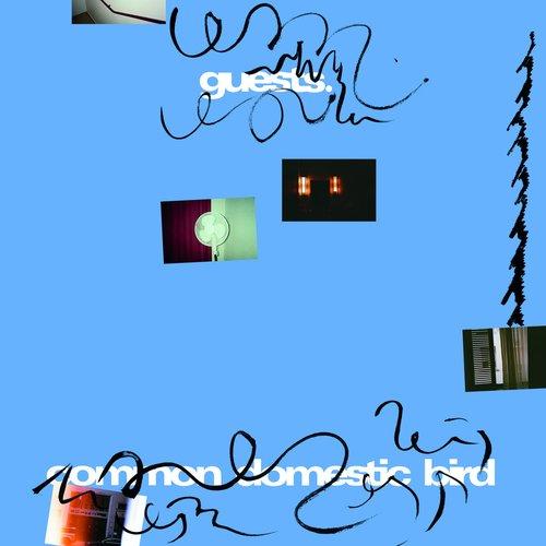 Guests (Indie Group) - Common Domestic Bird - Lp