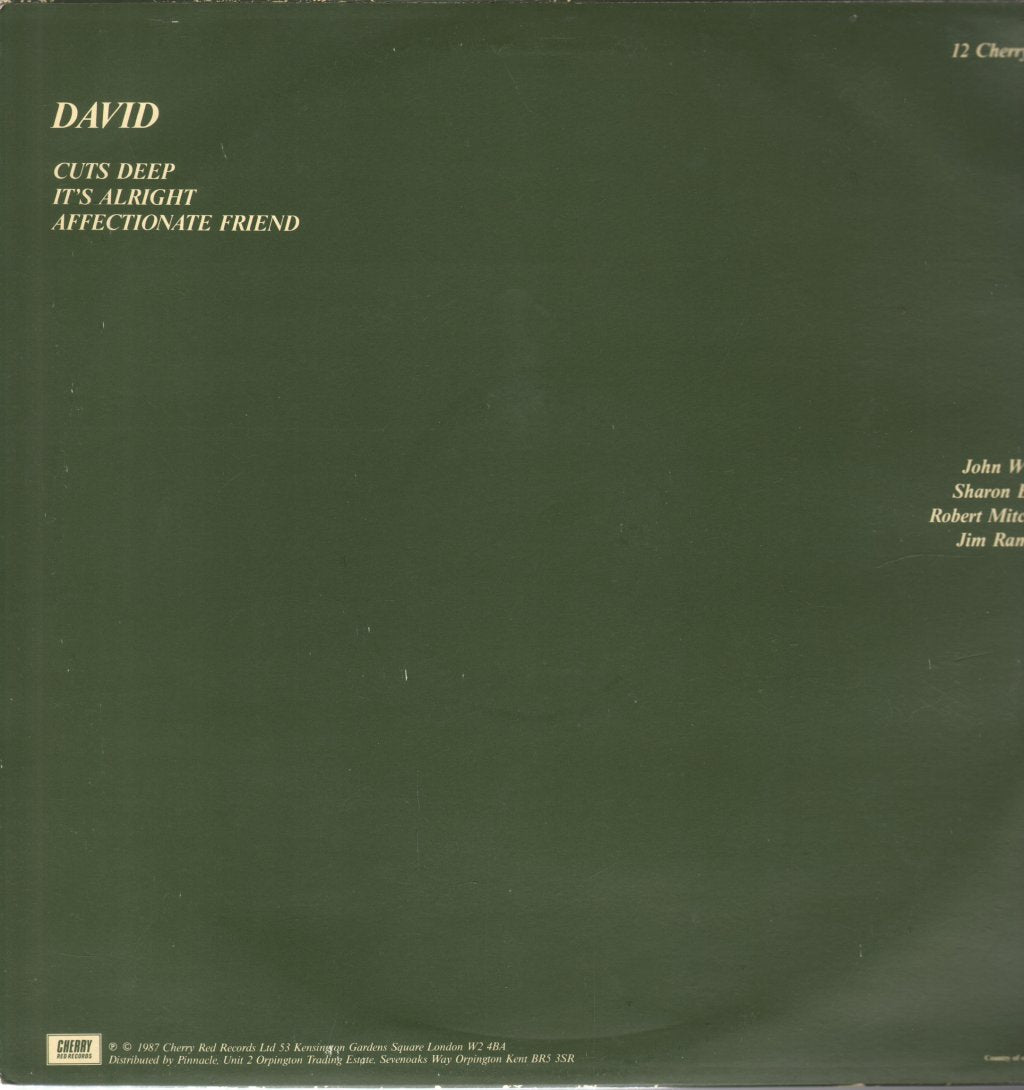 Wiseacres - David - 12 Inch
