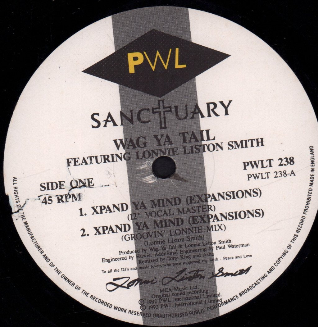 Wag Ya Tail featuring Lonnie Liston Smith - Xpand Ya Mind Expansions - 12 Inch