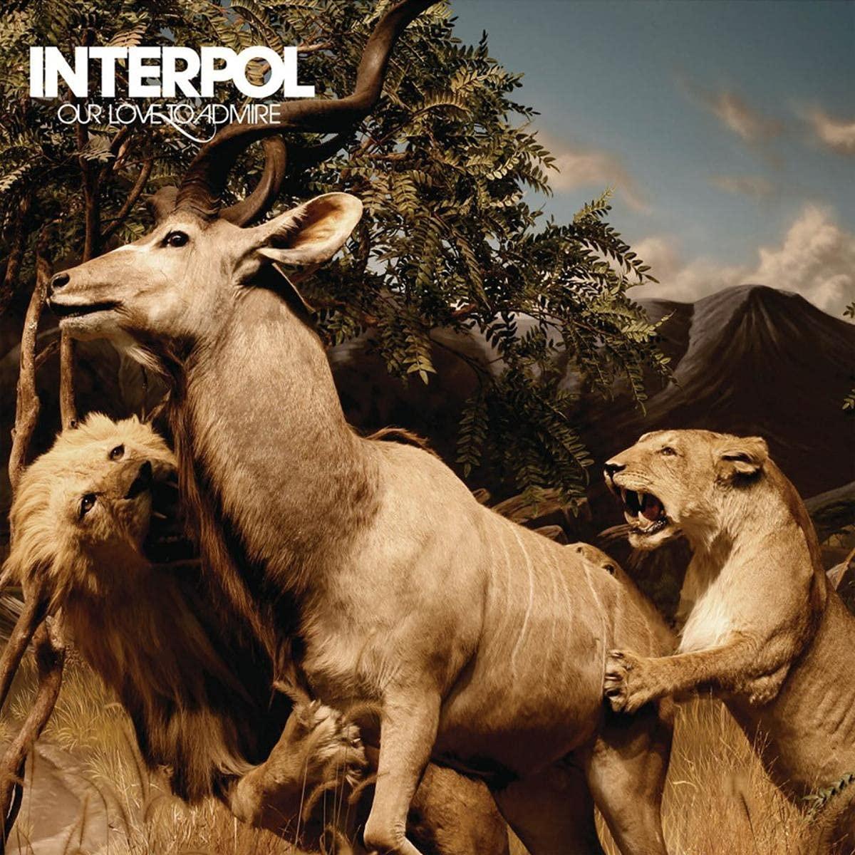 Interpol - Our Love To Admire - Double Lp