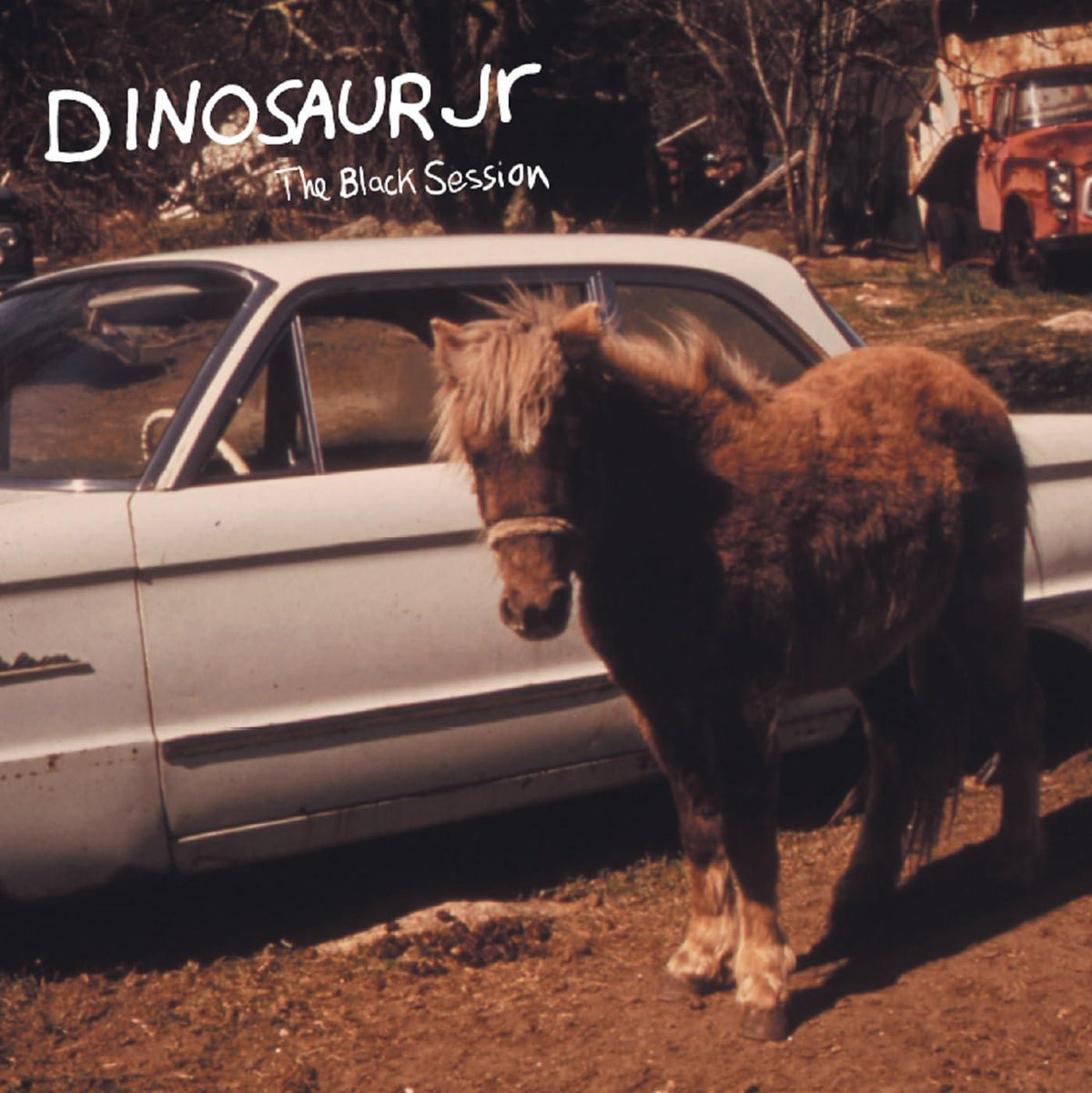 Dinosaur Jr - Black Session - Live In Paris 1993 12" Vinyl Edition - Lp