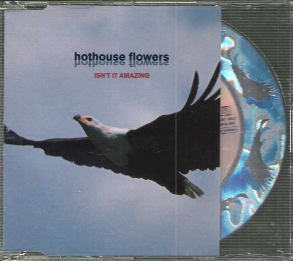 Hothouse Flowers - Isn't It Amazing - Cd