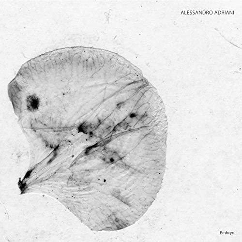 Alessandro Adriani - Embryo - 12 Inch
