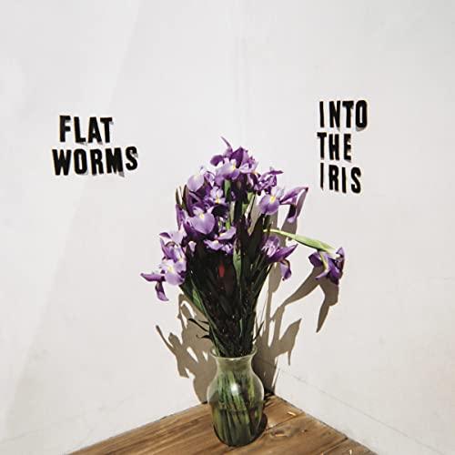 Flat Worms - Into the Iris (Vinyl) - Lp